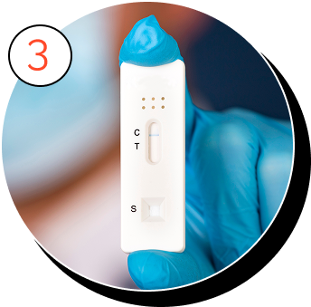 A hand holding up the results of a test.